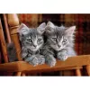 Clementoni High Quality Collection 35580 Puzzle 500 Teile Tiere