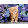 Clementoni High Quality Collection 35585 Puzzle 500 Teile Tiere