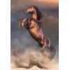 Clementoni 500 Teile CB HQC Wild Red Stallion