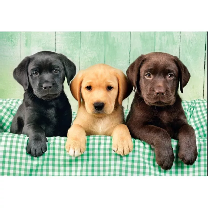 Clementoni High Quality Collection 39946 Puzzle Puzzle 1000 Stk. Tiere