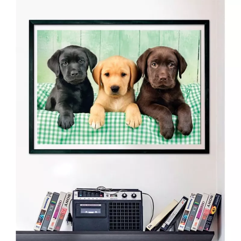Clementoni High Quality Collection 39946 Puzzle Puzzle 1000 Stk. Tiere
