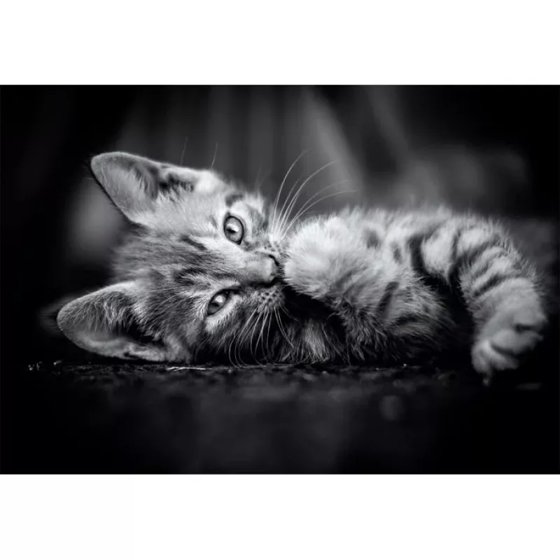 Clementoni High Quality Collection 39950 Puzzle Jigsaw-Puzzle 1000 St. Tiere
