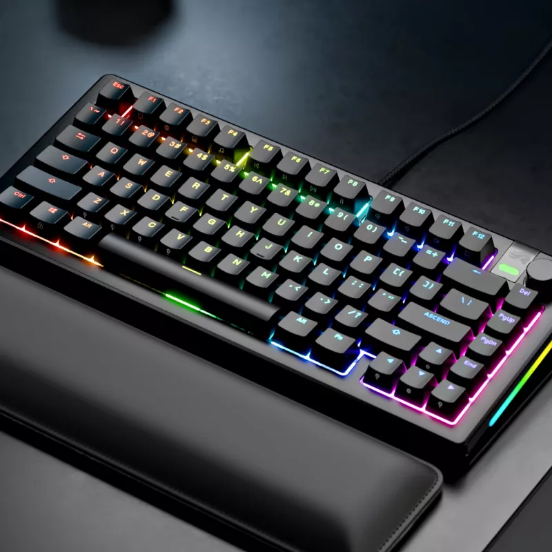 Glorious Gaming GMMK 3 PRO 75% Prebuilt Wired Schwarz - FR, Kabelgebunden, USB, Mechanisch, AZERTY, RGB LED, Schwarz