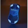 Glorious Gaming Glorious Model O Wireless - Mattschwarz, Rechtshändig, Optisch, RF Wireless, 19000 DPI, 1 ms, Schwarz