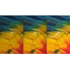 Philips SPK7507B/00 Maus Büro Rechtshändig RF Wireless Optisch 3200 DPI