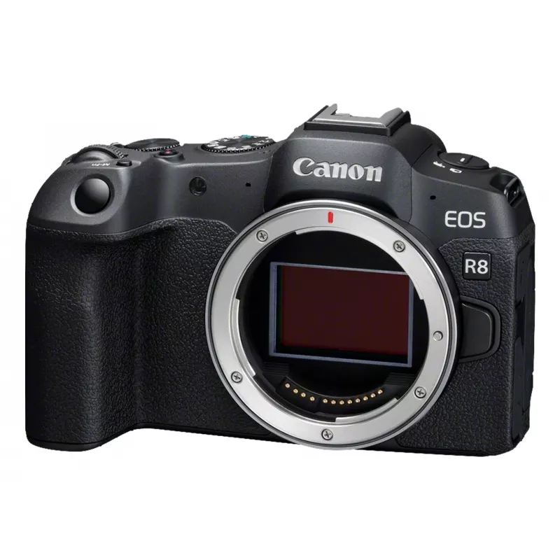 Canon EOS R8 + RF 24-105mm F4-7.1 IS STM MILC 24,2 MP CMOS 6000 x 4000 Pixel Schwarz