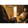 BakkerElkhuizen EnergyByLight zirkadiane Schreibtischlampe