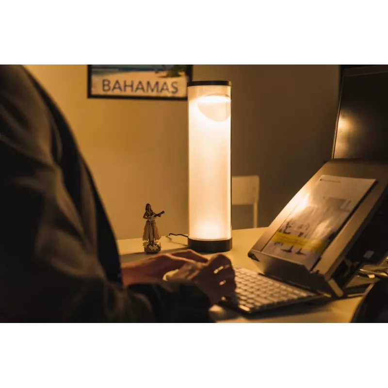 BakkerElkhuizen EnergyByLight zirkadiane Schreibtischlampe