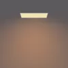 Philips Functional Panel Ceiling Ceiling Light 36 W Rechteckig