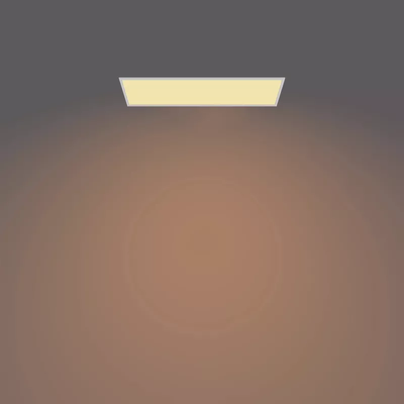 Philips Functional Panel Ceiling Ceiling Light 36 W Rechteckig