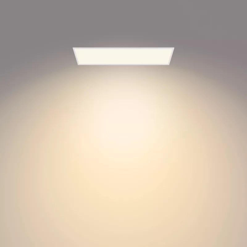 Philips Functional Panel Ceiling Ceiling Light 36 W Rechteckig