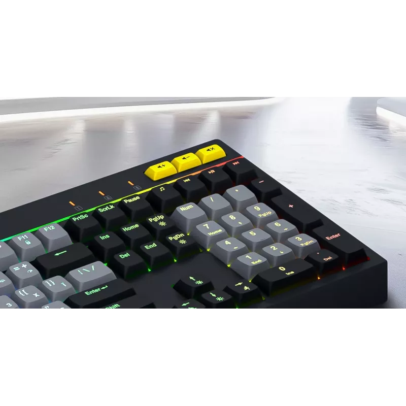 HATOR Icefall Tastatur Gaming USB QWERTY US English Schwarz RGB LED
