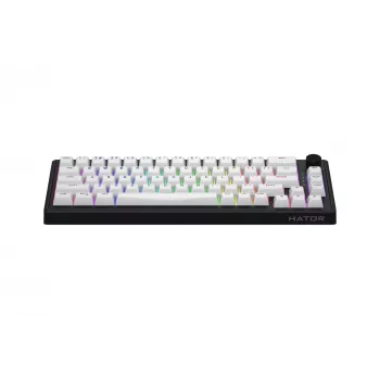 HATOR Skyfall 65 MAG ULTRA 8K Tastatur Gaming USB QWERTY US-Englisch Schwarz, Weiß