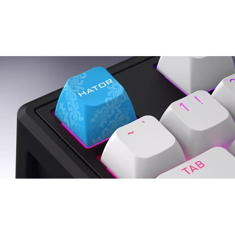 HATOR Skyfall 65 MAG ULTRA 8K Tastatur Gaming USB QWERTY US-Englisch Schwarz, Weiß