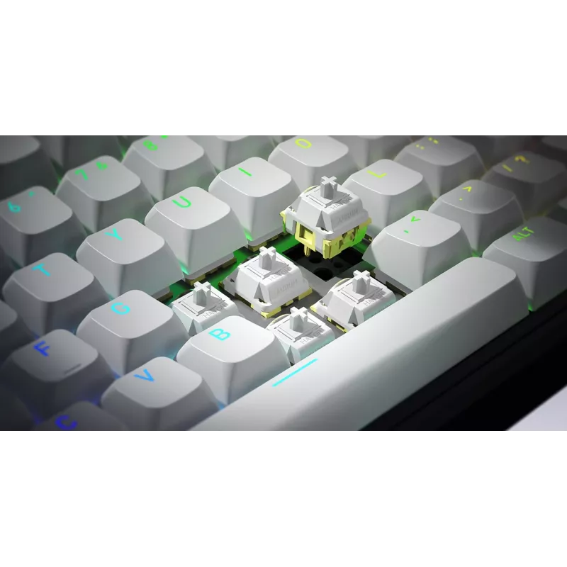 HATOR Skyfall Wireless 100 Tastatur Gaming USB + RF Wireless + Bluetooth QWERTY US English Schwarz, Weiß