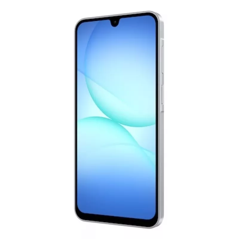 Samsung Galaxy A17 17 cm (6.7 Zoll) Dual SIM 4G USB Type-C 4 GB 128 GB 5000 mAh Grau