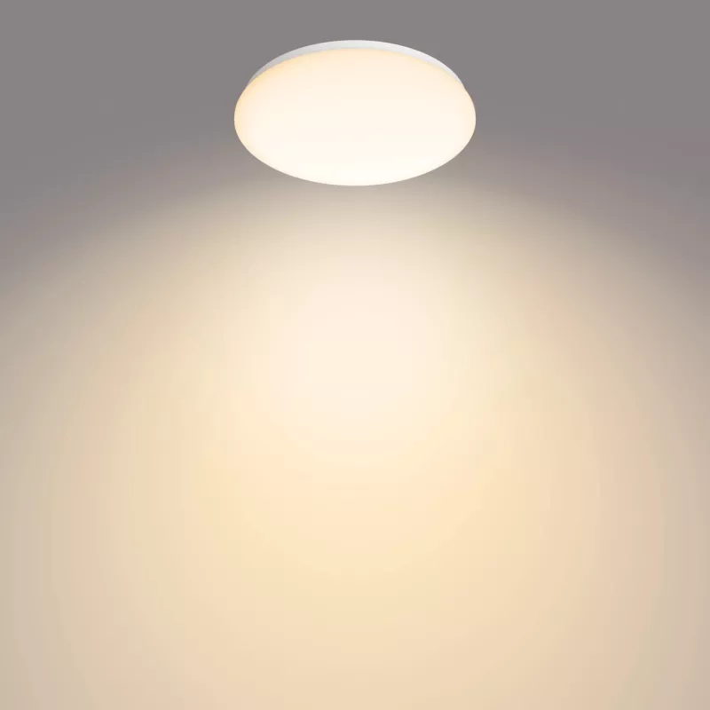 Philips Functional Deckenleuchte, LED, nicht austauschbare(s) Leuchtmittel, 2700 K, 1700 lm, IP20, Weiß