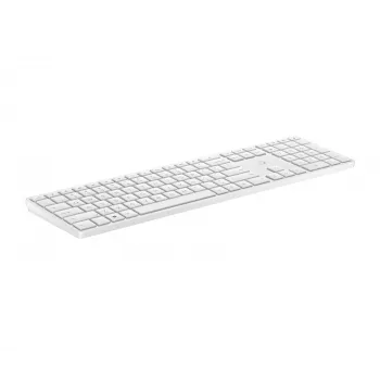 HP 450 Programmierbare kabellose Tastatur Full-size Kabelgebunden & Kabellos Schwarz