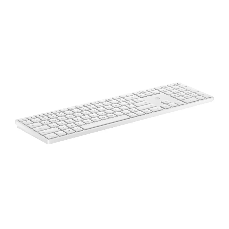 HP 450 Programmierbare kabellose Tastatur Full-size Kabelgebunden & Kabellos Schwarz