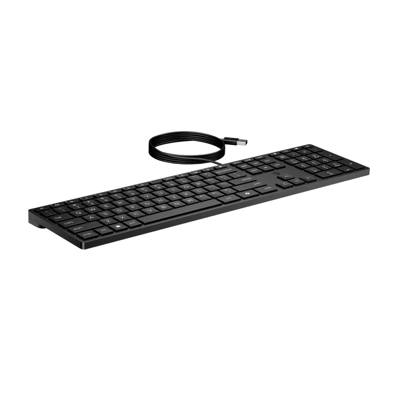Kabelgebundene Tastatur HP 320K — USB in voller Größe, gerades Layout, 1,8 m Kabel, Schwarz