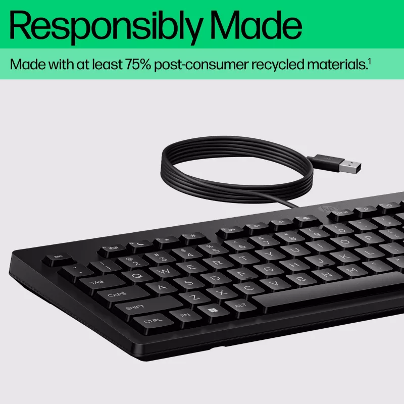 Kabelgebundene Full-Size-Tastatur HP 125 – USB, 1,8 m Kabel, schwarz