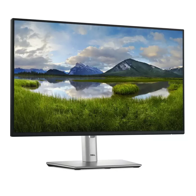 DELL Pro Plus P2425H Computer-Monitor 60,5 cm (23,8 Zoll) 1920 x 1080 Pixel Full HD LCD Schwarz