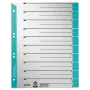 Leitz 16520030 Tab-Register Numerisches Tab-Register Karton Blau, Grau