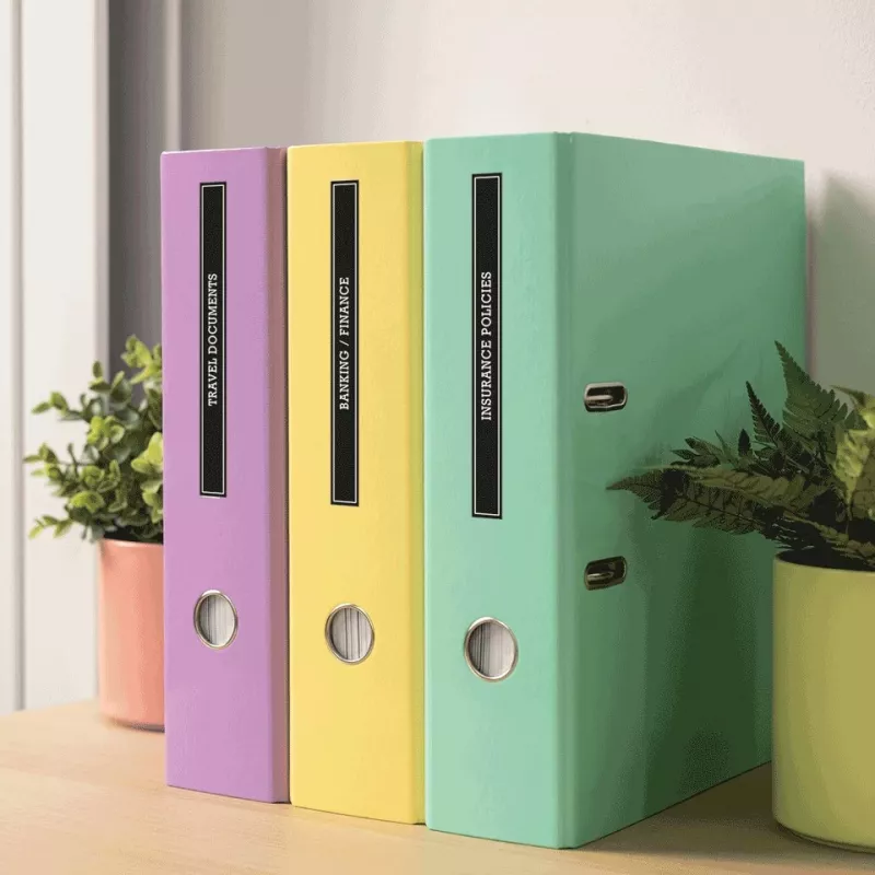 Brother P-touch PT-N25BT Desktop-Beschriftungsgerät, Bluetooth