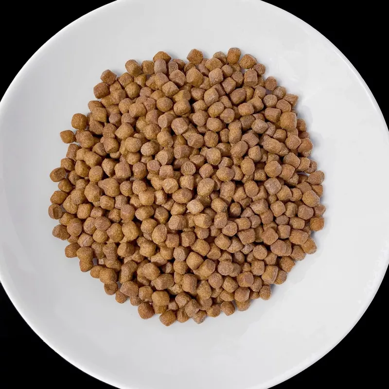 VET RESPONSE Renal - Trockenfutter für Hunde - 1,6 kg