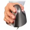 Maus Evoluent VM4L Office Links USB Type-A