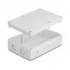 DeLOCK Installationsgehäuse 180x125x57mm grau ABS für den Außenbereich