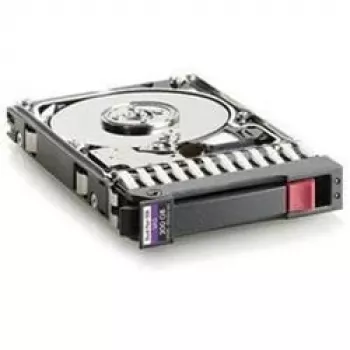 300GB 10K Sas 2.5 DP