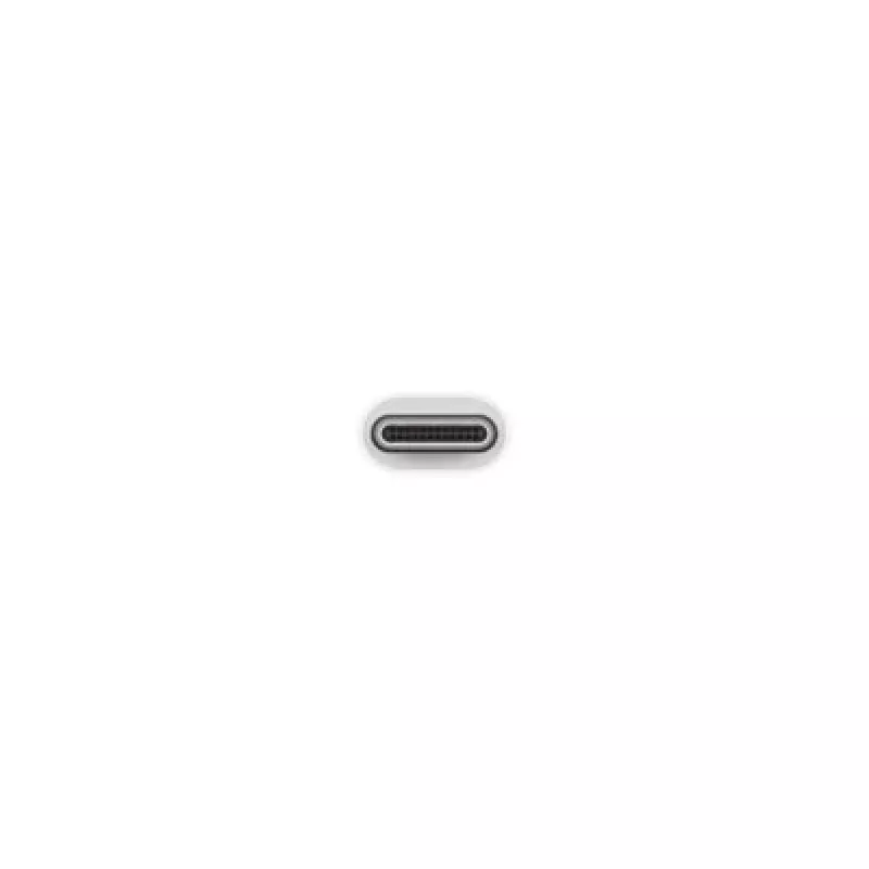 Apple USB-C auf USB Adapter MJ1M2ZM/A USB A USB C | Turime | ITwork