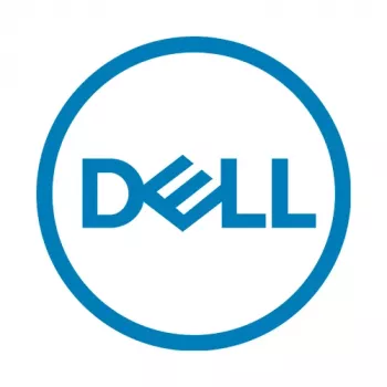 Dell KIOXIA BG4 Series KBG40ZNS256G - SSD - 256 GB - intern - M.2 2230 - PCIe 3.0 x4 (NVMe) (FWJTG)
