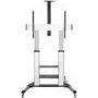 LOGILINK BP0084 TV-Monitorwagen 60-100 Zoll höhenverstellbar 100 kg max.