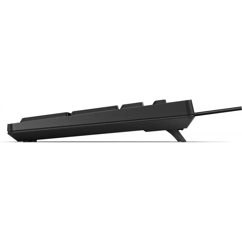 HP 125 Kabelgebundene Tastatur Full-Size USB Membran Schwarz