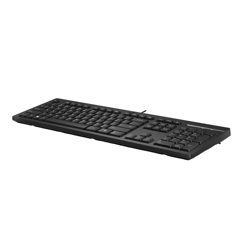 Kabelgebundene Full-Size-Tastatur HP 125 – USB, Membranschalter, schwarz