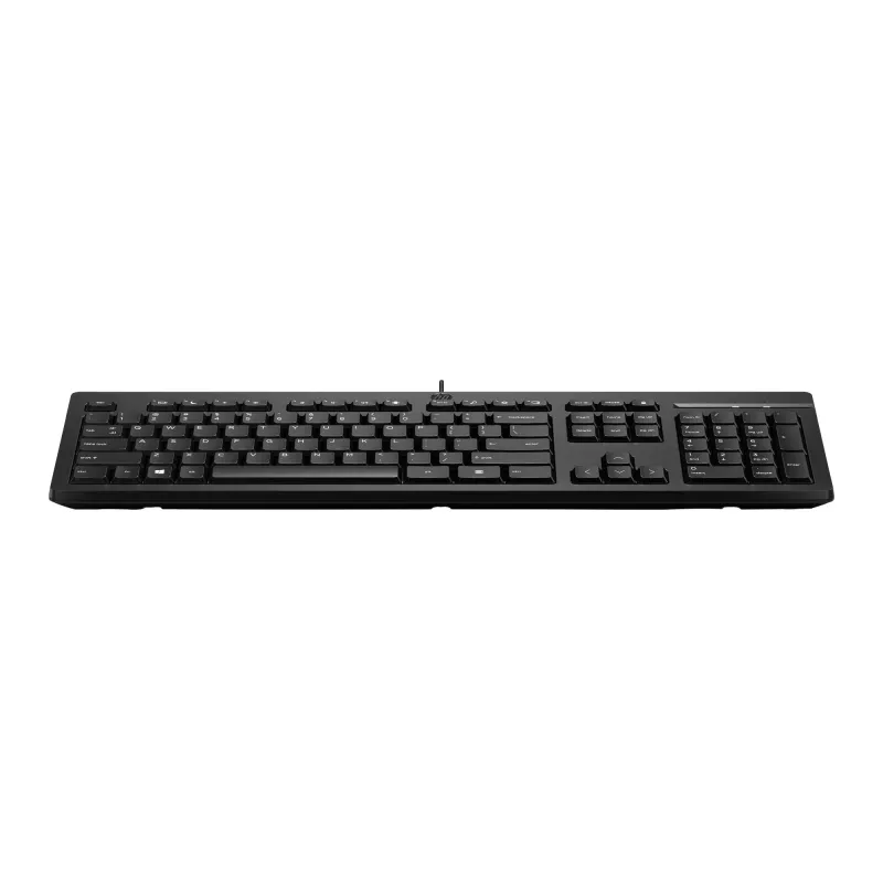 Kabelgebundene Full-Size-Tastatur HP 125 – USB, Membranschalter, schwarz