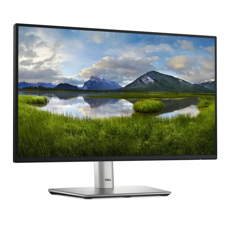 DELL P Series P2225H Computermonitor 54,6 cm (21,5 Zoll) 1920 x 1080 Pixel Full HD LCD Schwarz, Silber