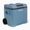 Thermoelektrische Kühlbox IGLOO IE42 – 42 qt tragbarer DC/AC-Kühler