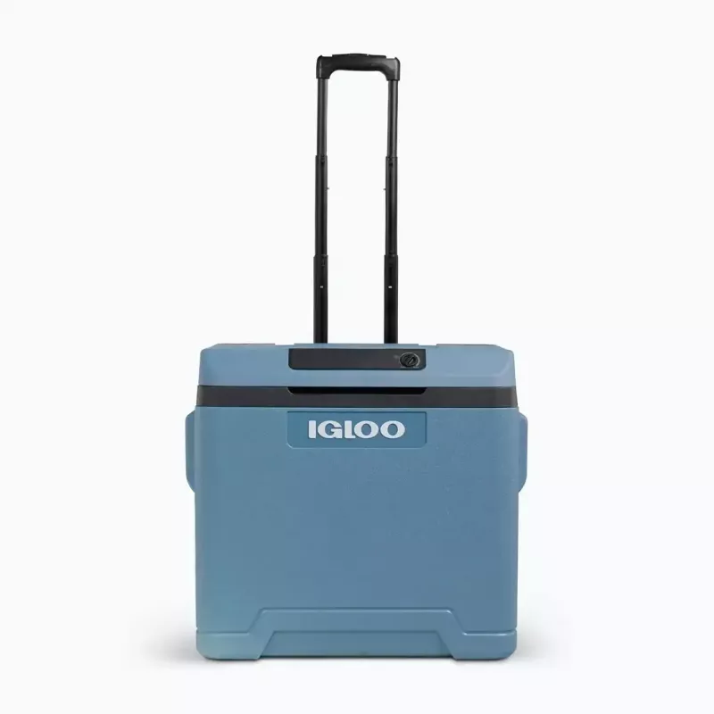 Thermoelektrische Kühlbox IGLOO IE42 – 42 qt tragbarer DC/AC-Kühler