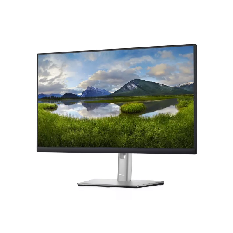 DELL P Series P2422H Computermonitor 60,5 cm (23,8 Zoll) 1920 x 1080 Pixel Full HD LCD Schwarz