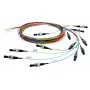 Telegärtner InfiniBand/Glasfaserkabel 2 m 12x LC Mehrfarbig