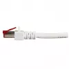 Netzwerkkabel EFB Elektronik K5518.25 RJ-45 Cat6 25 m Weiß