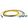Glasfaserkabel EFB Elektronik MTPF12LCOS2-1 1m