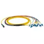 Glasfaserkabel EFB Elektronik MTPF12LCOS2-2