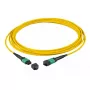 Glasfaserkabel EFB Elektronik MTPF12MTPFOS2-15-A MTP OS2 15 m Gelb
