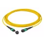 Glasfaserkabel EFB Elektronik MTPF36MTPFOS2-5-A MTP OS2 5 m Gelb