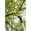 Karcher TLO 2-18 akkubetriebener Bypass-Astschneider 1.445-340.0