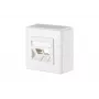 METZ CONNECT 1309150002-E Wandabdeckplatte, 2 Module, Reinweiß RAL 9010